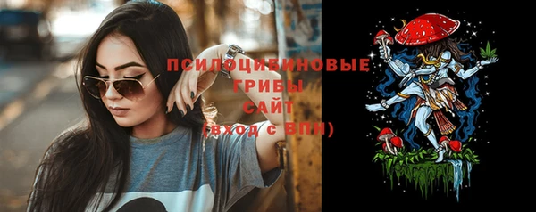 ГАЛЛЮЦИНОГЕННЫЕ ГРИБЫ Белоозёрский