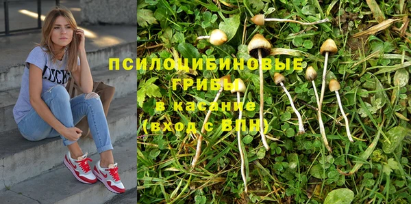 спиды Белокуриха
