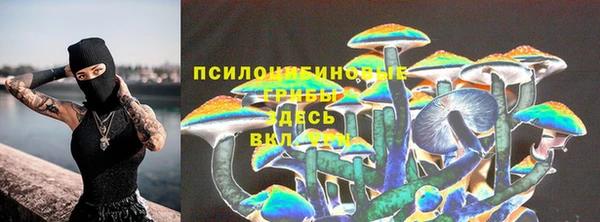 ГАЛЛЮЦИНОГЕННЫЕ ГРИБЫ Белоозёрский