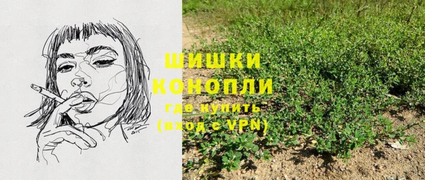 экстази Богданович