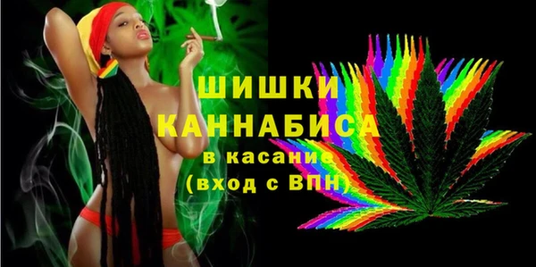 PSILOCYBIN Богородицк