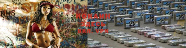 спиды Белокуриха