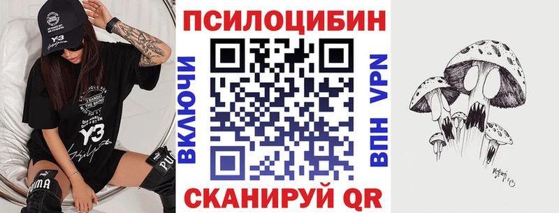 сколько стоит  Дубна  Псилоцибиновые грибы Psilocybine cubensis 